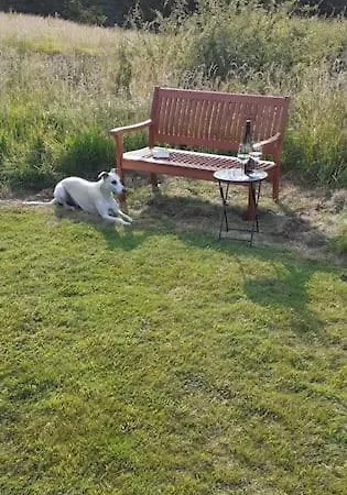 Meadowsweet @ Laneside
