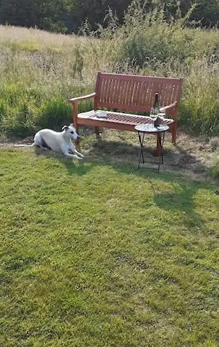Meadowsweet @ Laneside